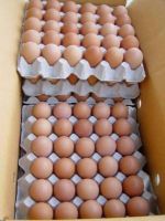 Farm Fresh White Eggs / Fresh White Table Eggs / Chicken Eggs