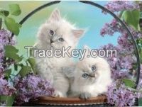 Unique Home Decoration 3d Lenticular Picture