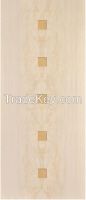 Melamine Doors