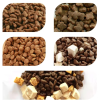 Halal Dry Cat and Puppy Food Chicken Flavored Grain-Free for Healthy Dogs and Cats