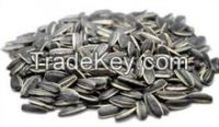  Sunflower Seeds 