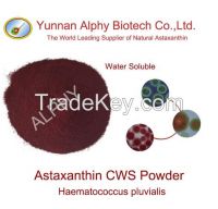 100% astaxanthin cws powder water soluble astaxanthin powder Haematococcus pluvialis astaxanthin powder water soluble