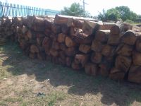 Kosso logs, Appa logs For Sale And Export