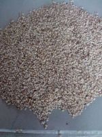 Sesame Seed Available For Sale And Export