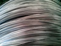 Galvanized Wire