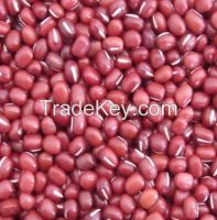 Adzuki Beans Small Red Beans With