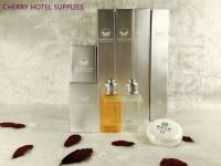 Senior hotel amenities suite