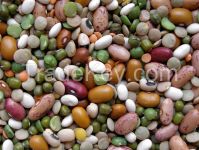 Kidney Beans