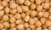 Chickpeas