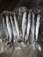 Whole Mackerel (IQF