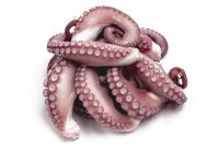 Whole Squid (Cleaned, IQF