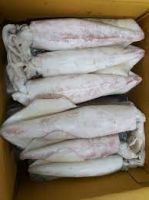 Frozen Squid,Whole Clean, Tubes &amp