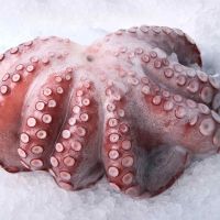 Frozen Octopus,Whole, Baby Octopus, Tentacles