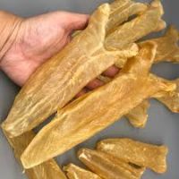 Fish Maw,Frozen & Dried | Premium Chinese Market Supply