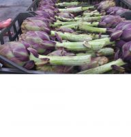 Fresh Artichokes Grade