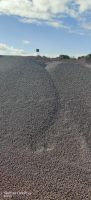 Iron Ore Pellets | Fe 62%&acirc
