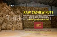 Raw Cashew Nuts in Shell