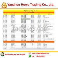 Spark plug  Ignition parts