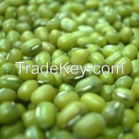 Mung beans