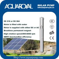 DC Solar Pumps|Permanent Magnet|DC brushless motor|Motor is filled with water|Solar well pumps-4SP5/8(Integrated Type)