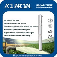 DC Solar Pumps|Permanent Magnet|DC brushless motor|Motor is filled with water|Solar well pumps-4SP8/5(Separated Type)