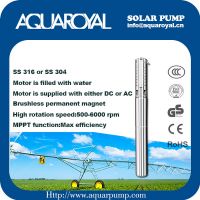 DC Solar Pumps|Permanent Magnet|DC brushless motor|Motor is filled with water|Solar well pumps-4SP5/4(Integrated Type)