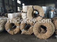 Electrogalvanizing steel strip