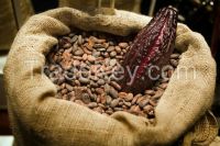 Best Quality Cocoa Beans Now Ready for Export