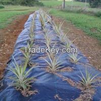 Agriculture high quality PP woven weed mat used for landscaping weed control