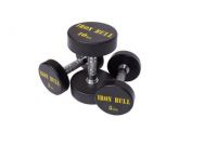 rubber coated dumbbell