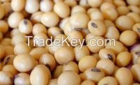 Wholesale GMO SOYA BEANS GRADE 2