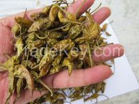 Dried Green Chili