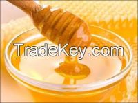 100% Natural Raw Organic Rapeseed Bulk Honey