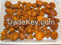 Natural Cow/ox/cattle Gallstones for sale