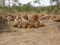 Teak Logs