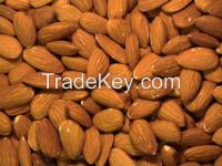 RAW NATURAL ALMOND NUTS BEST PRICE