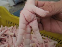 Grade ''A'' Frozen Chicken Paws and Frozen Chicken Feet