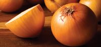 Ultra Fresh Onions For Sale And Export