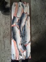 Frozen Pink Salmon H/G