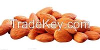 Apricot kernel