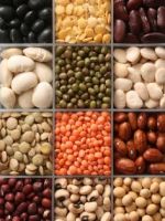 Medium White Kidney Beans White Kidney Beans