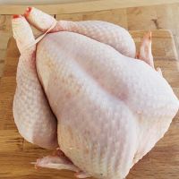 Halal Whole Frozen Chicken and parts