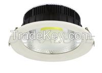 LED Down Light