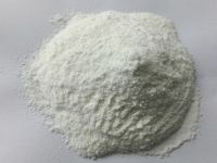 Probiotics Powder OEM Manufacturing 