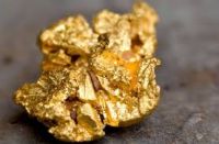 Gold Nuggets