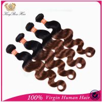 Ombre Brazilian Hair Extension Natural Color