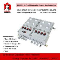 BDMX51 Explosion Proof Illumination Power Distribution Box