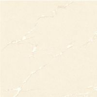 Soluble Salt Polished Tile (6206)