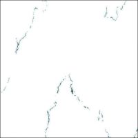 Super white polished tile(F6202)