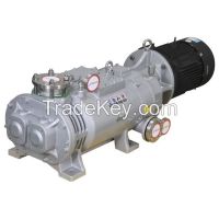 Lgb Series Variable Pitch Screw Dry Vacuum Pump